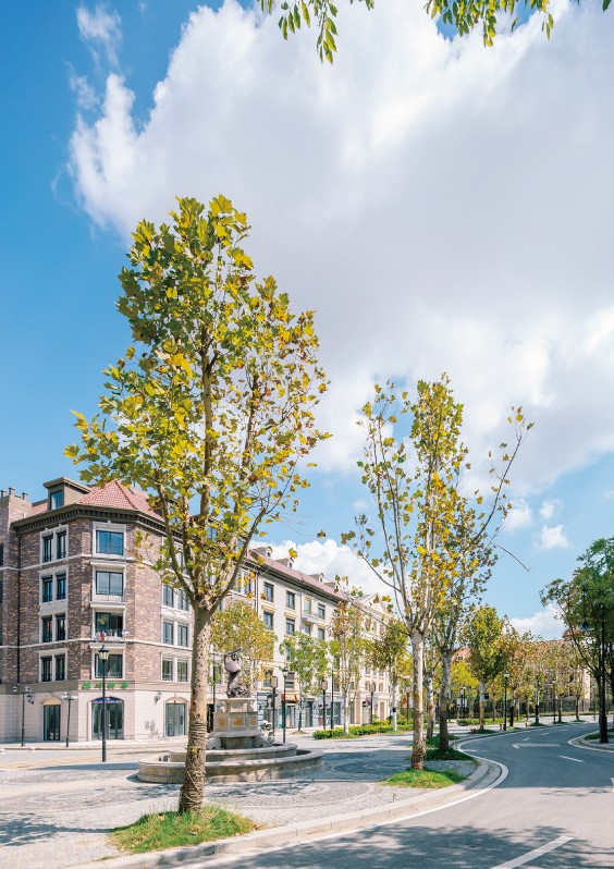 1551676931360432.jpg 1551676931360432.jpg