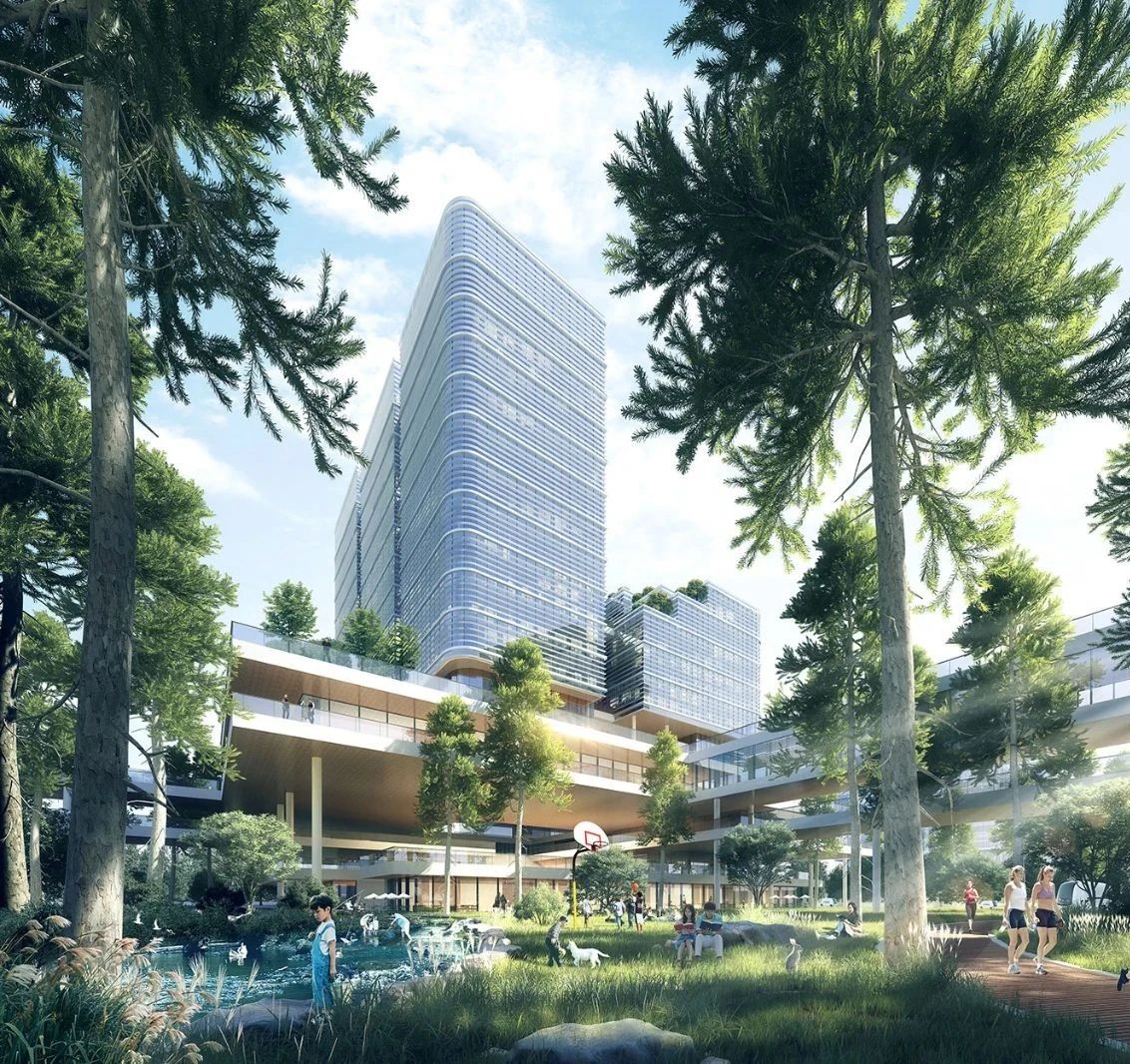 1611544536503873.jpg 1611544536503873.jpg