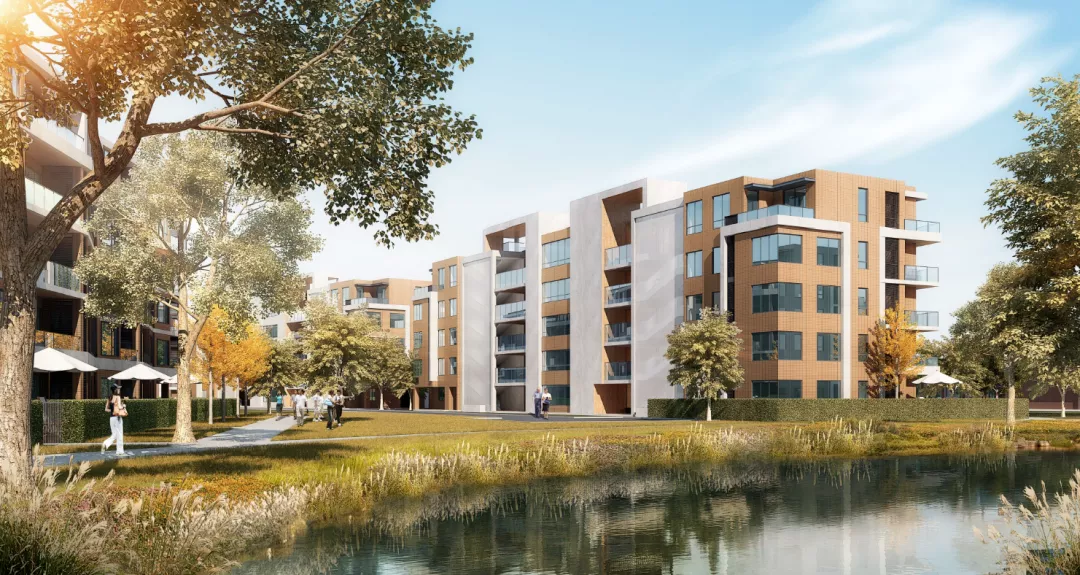 1634179250826775.jpg 640(6).jpg