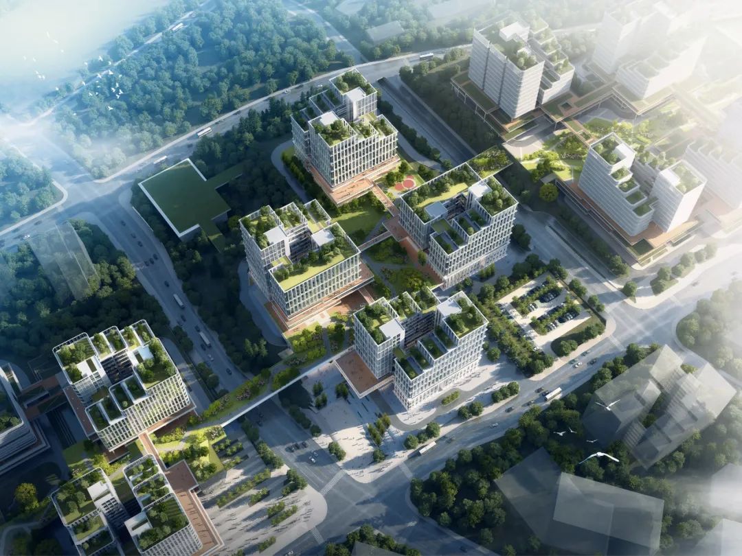 1647940313341046.jpg 640(2).jpg