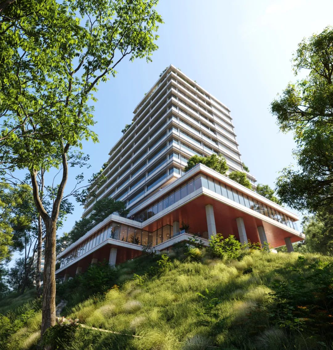 1647940572361944.jpg 640(19).jpg