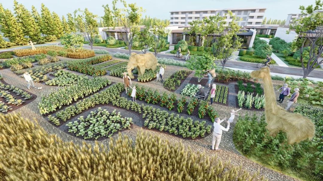 1648006206547606.jpg 640(16).jpg