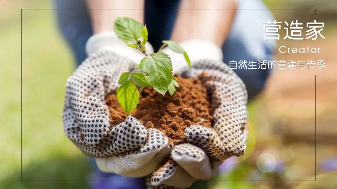 1648006896377033.jpg 640.jpg