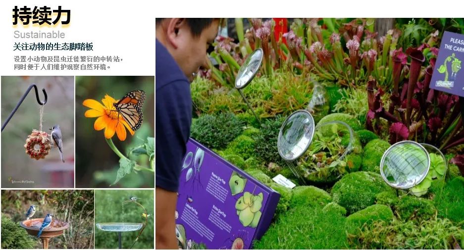 1648026693521209.jpg 640(14).jpg