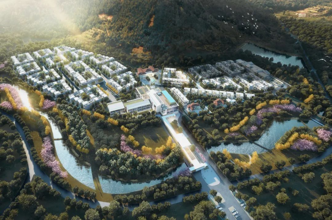 1660119424276400.jpg 8.jpg