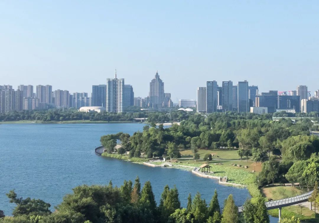 1660120357230159.jpg 1660120357230159.jpg