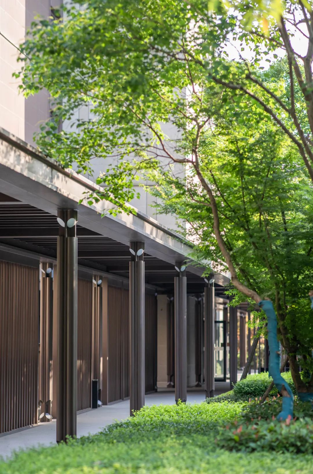 1660703226190629.jpg 9.jpg