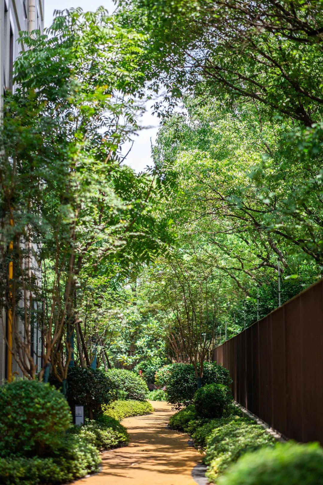 1660703271983608.jpg 12.jpg