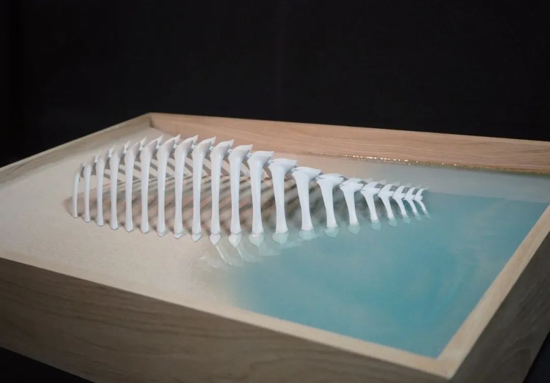 1698131676690926.jpg 640(25).jpg