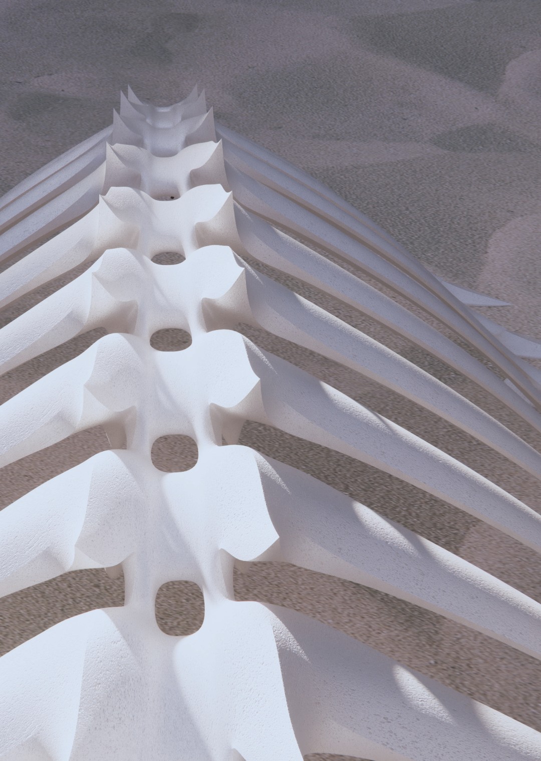 1698131686337800.jpg 640(24).jpg