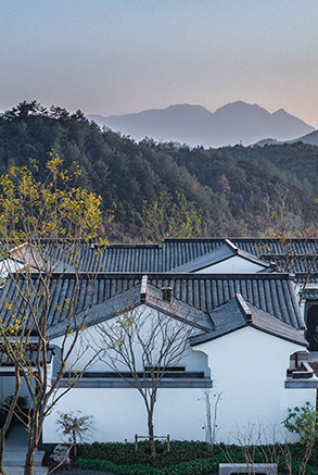 GREENTOWN PEACH BLOSSOM SPRING - BAMBOO GARDEN, ANJI