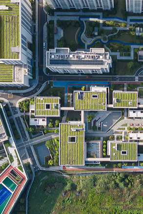 JOYFUL COMMUNITY, SHANGHAI