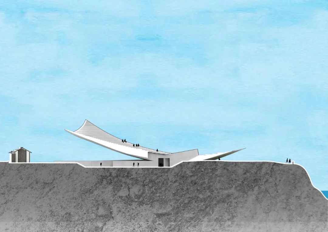 1699865296315737 (1).jpg